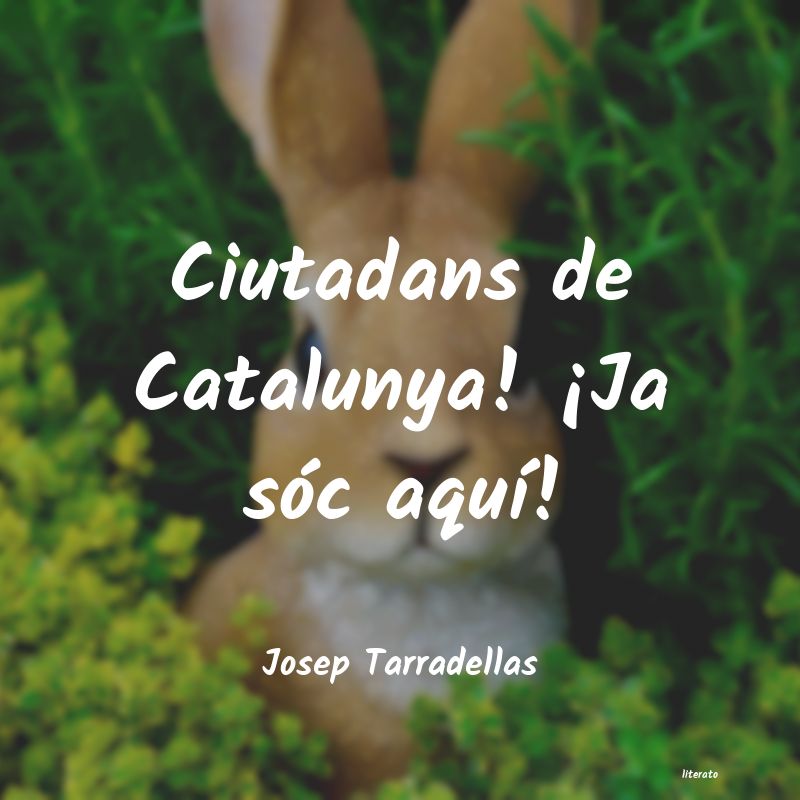 Frases de Josep Tarradellas