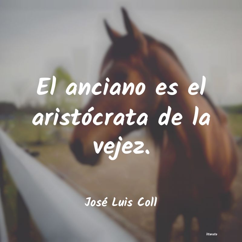 Frases de José Luis Coll