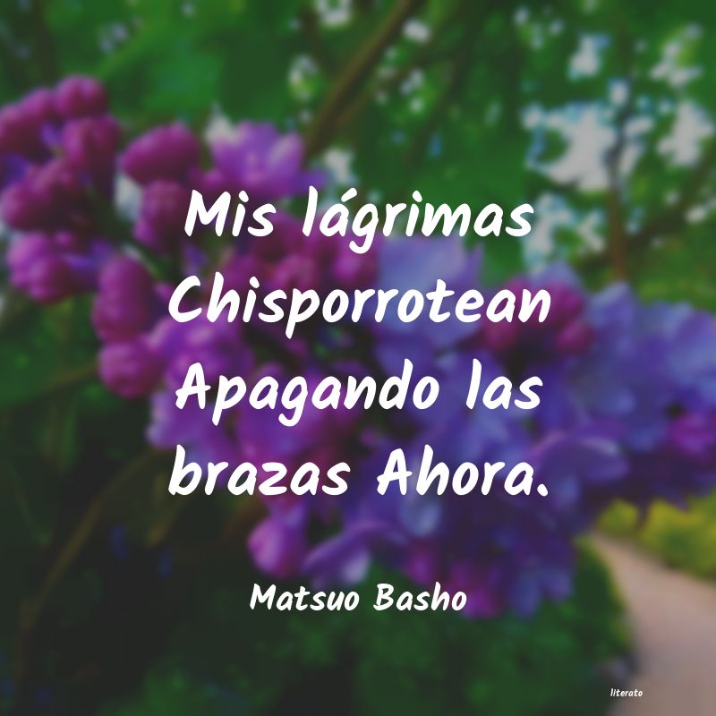 Frases de Matsuo Basho