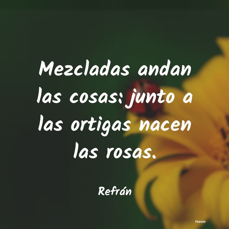 frases de Refrán