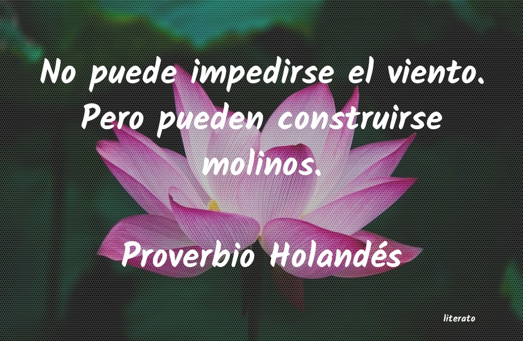 Frases de Proverbio Holandés