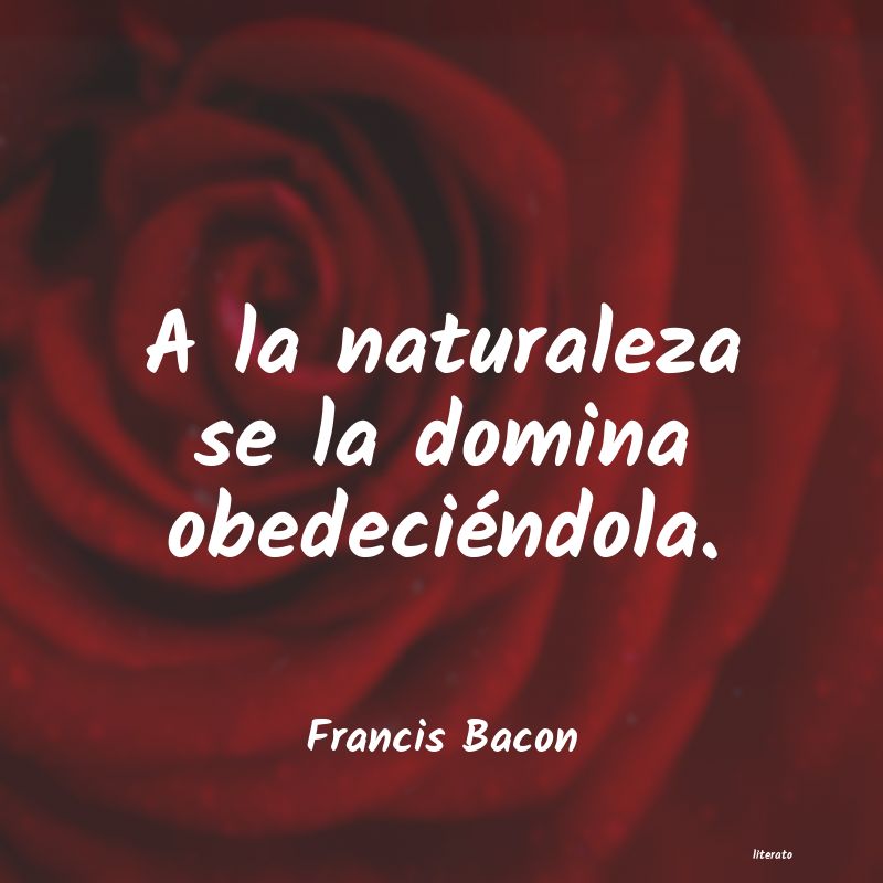 Frases de Francis Bacon