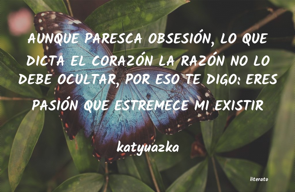 Frases de katyuazka