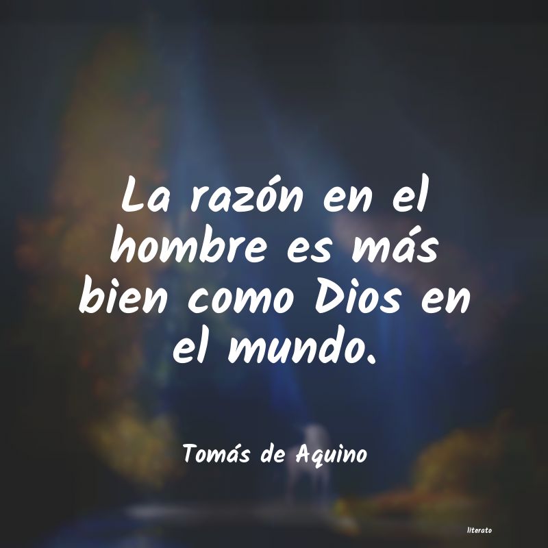 Frases de Tomás de Aquino