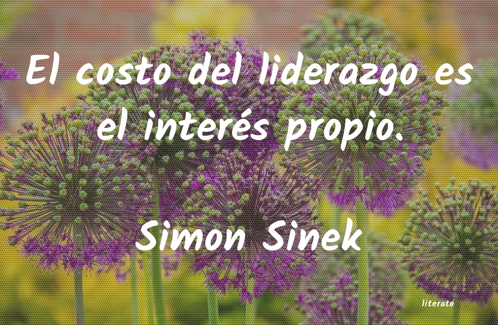 Frases de Simon Sinek