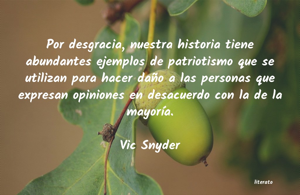 Frases de Vic Snyder