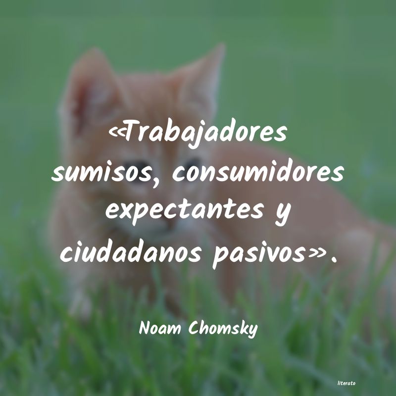 Frases de Noam Chomsky