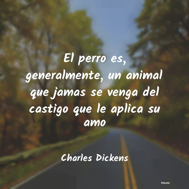 frases para un perro