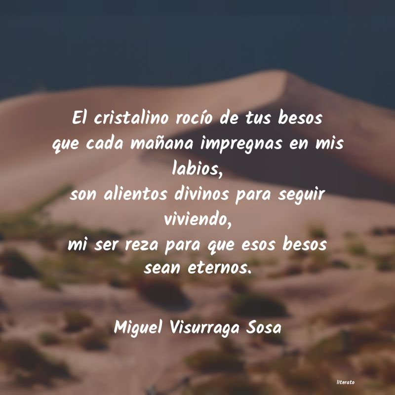 Frases de Miguel Visurraga Sosa