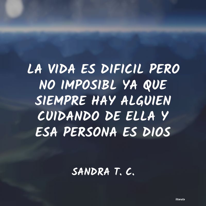 Frases de SANDRA T. C.