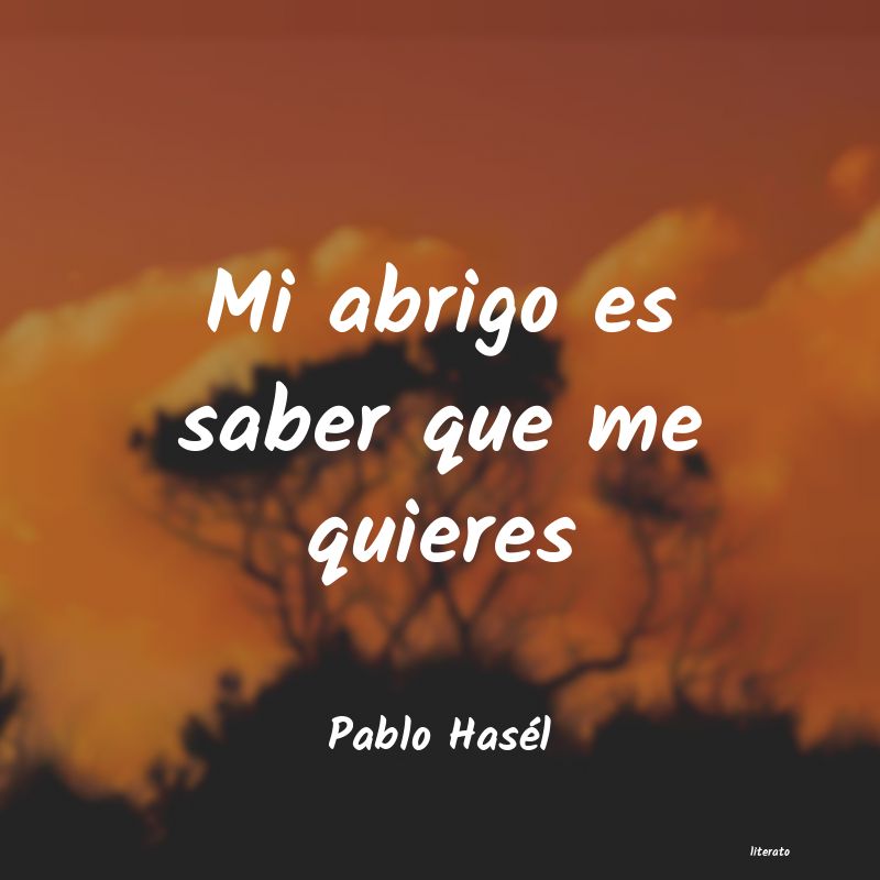 Frases de Pablo Hasél