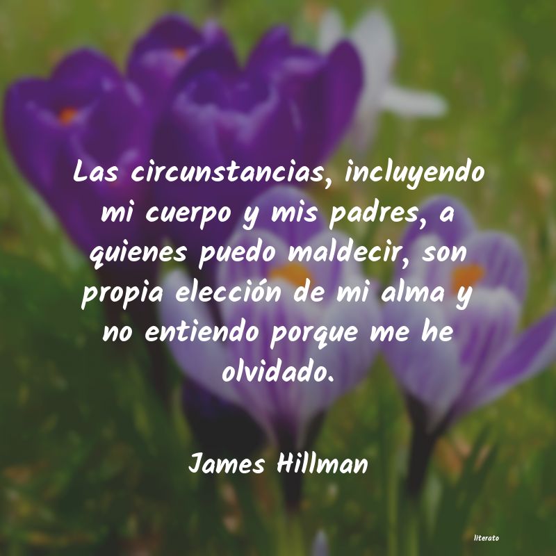 Frases de James Hillman