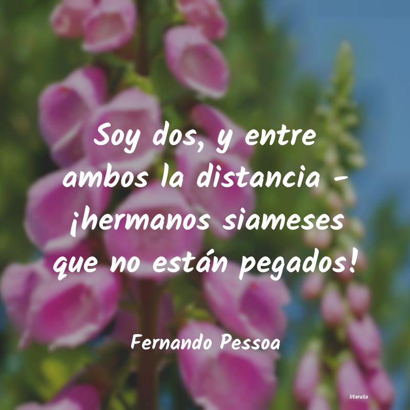 Frases de Fernando Pessoa