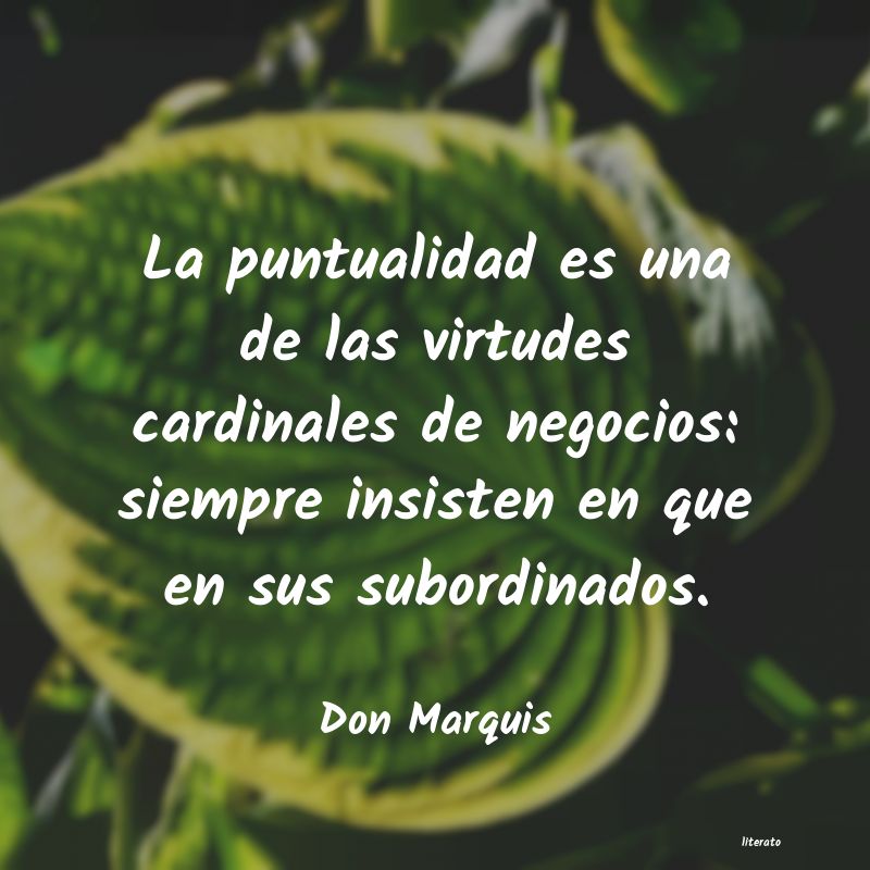 Frases de Don Marquis