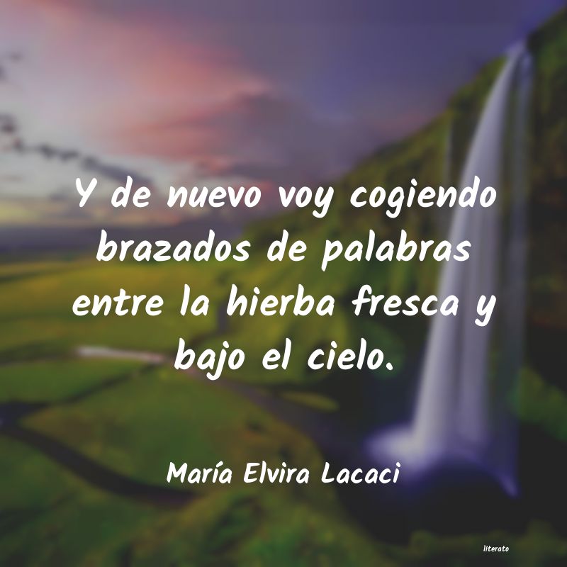 frases de MarÃa Elvira Lacaci