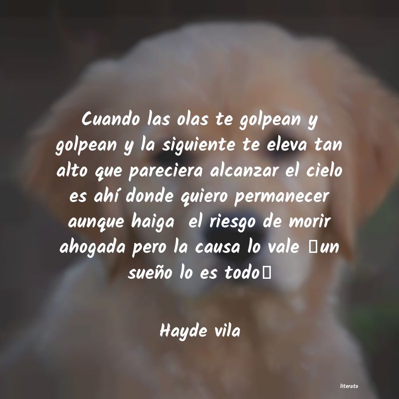 Frases de Hayde vila