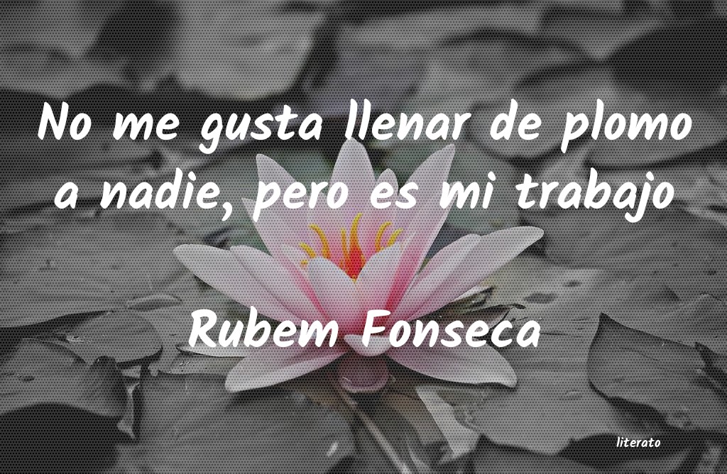 Frases de Rubem Fonseca