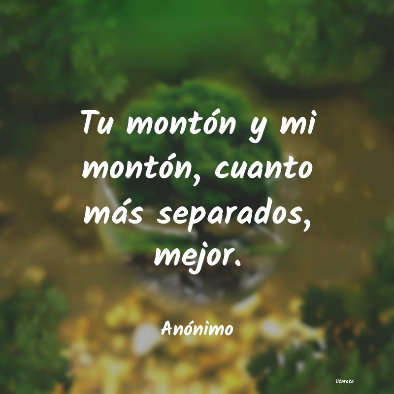 frases