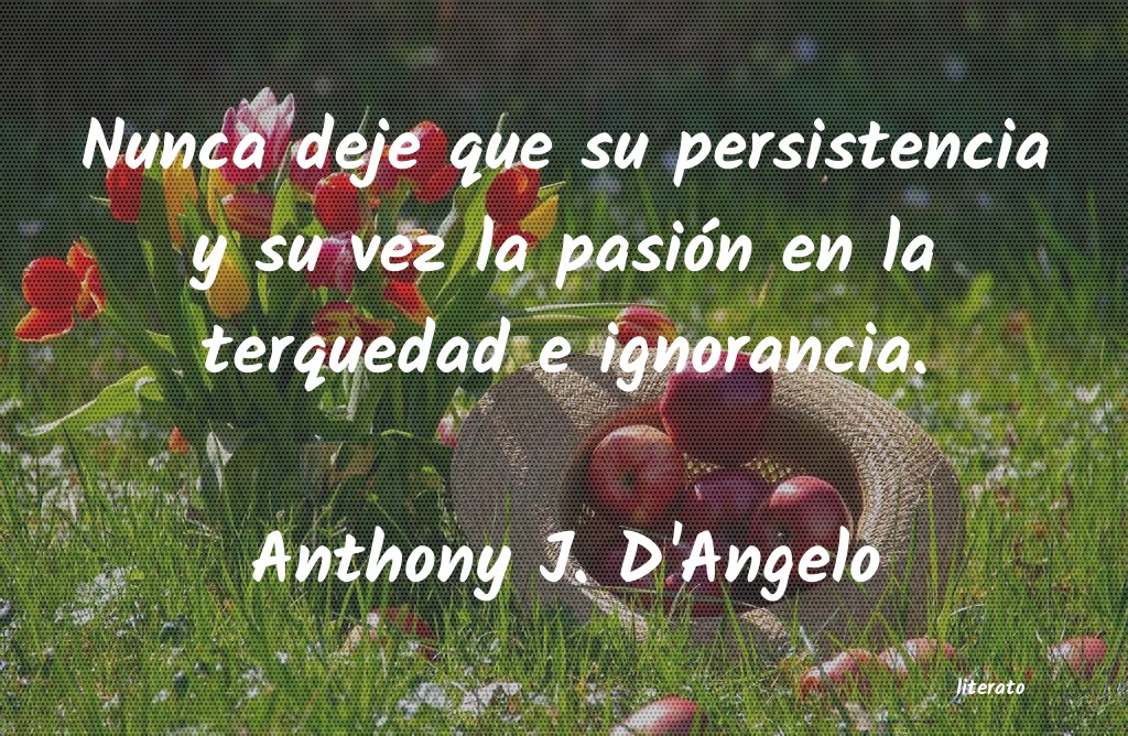 Frases de Anthony J. D'Angelo
