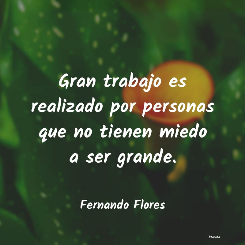 frases de Fernando Flores
