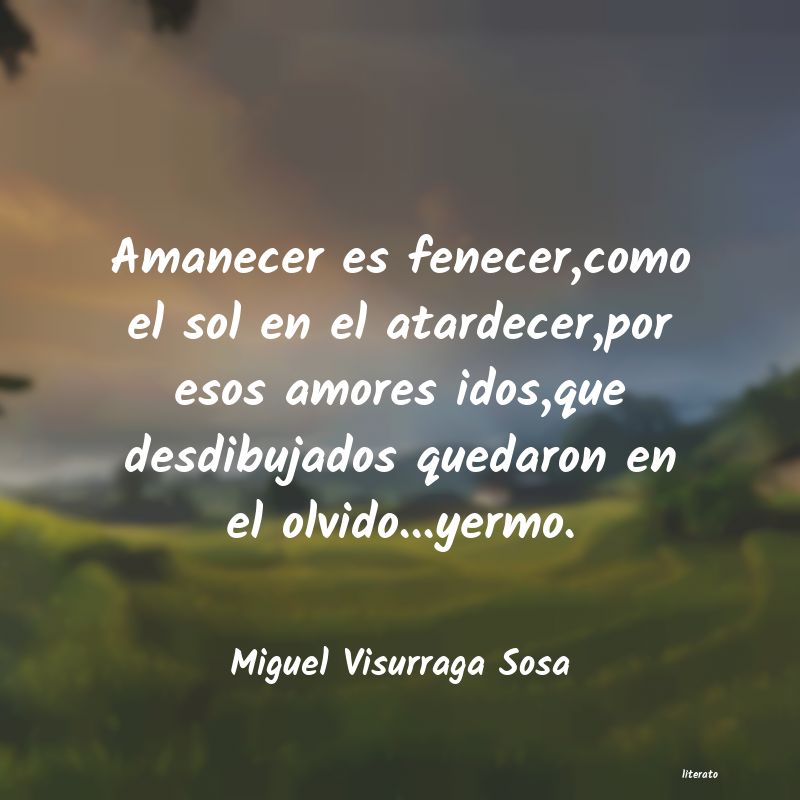 Frases de Miguel Visurraga Sosa