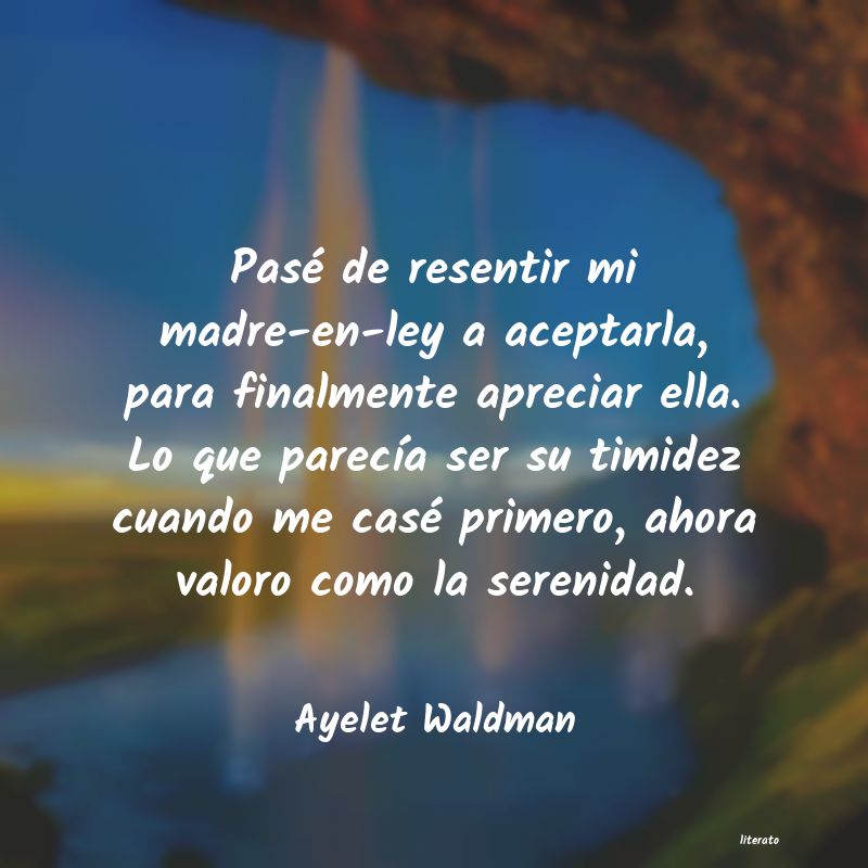 frases de Ayelet Waldman