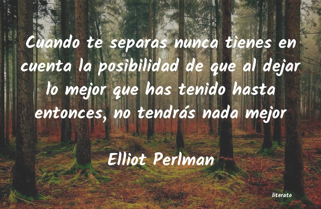 Frases de Elliot Perlman