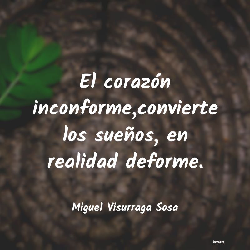 frases de Miguel Visurraga Sosa