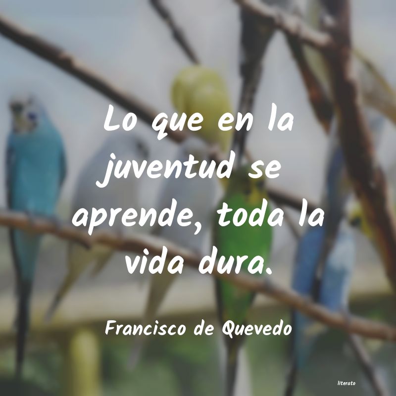 Frases de Francisco de Quevedo