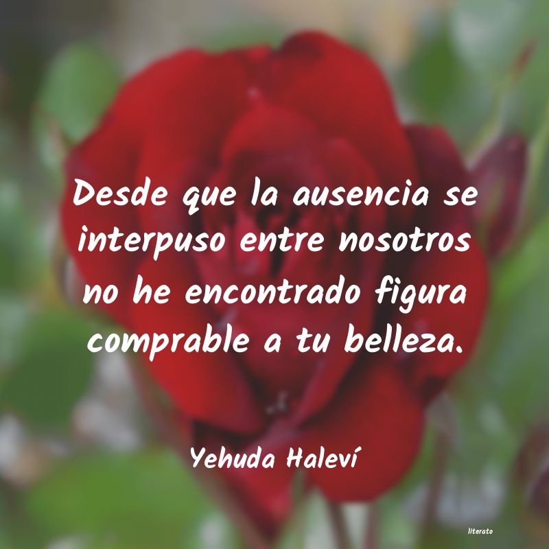 Frases de Yehuda Haleví