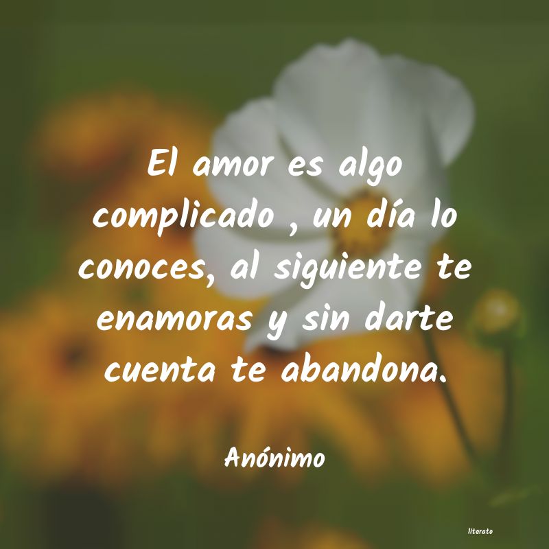 frases