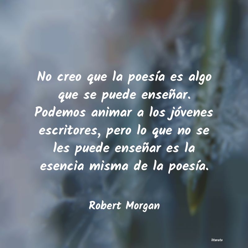 Frases de Robert Morgan