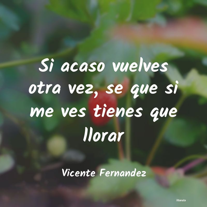 Frases de Vicente Fernandez