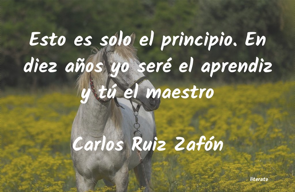 frases de Carlos Ruiz Zafón