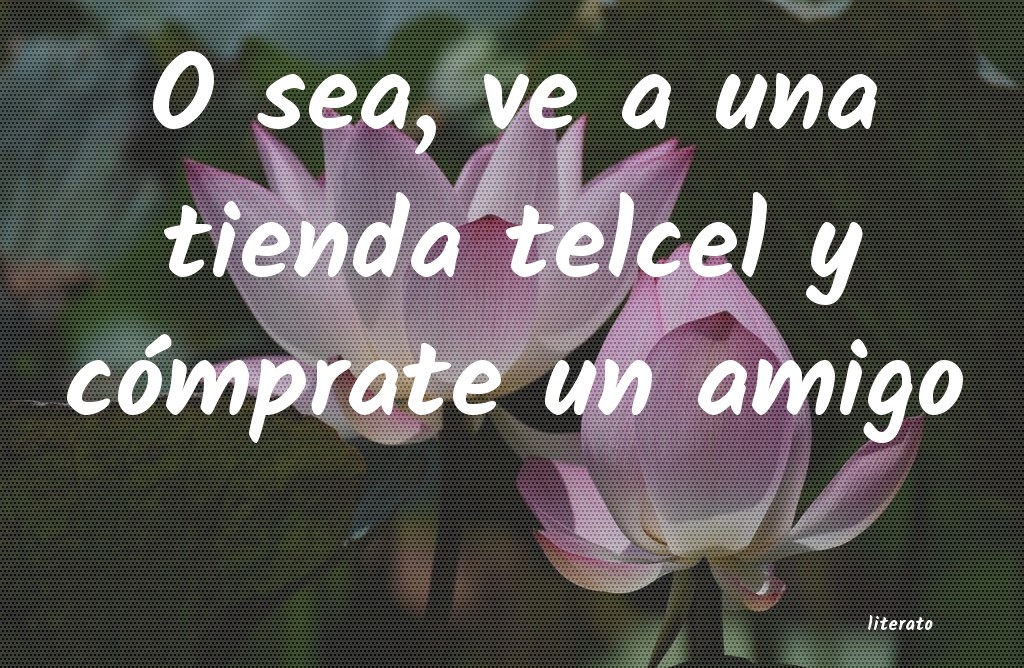 frases