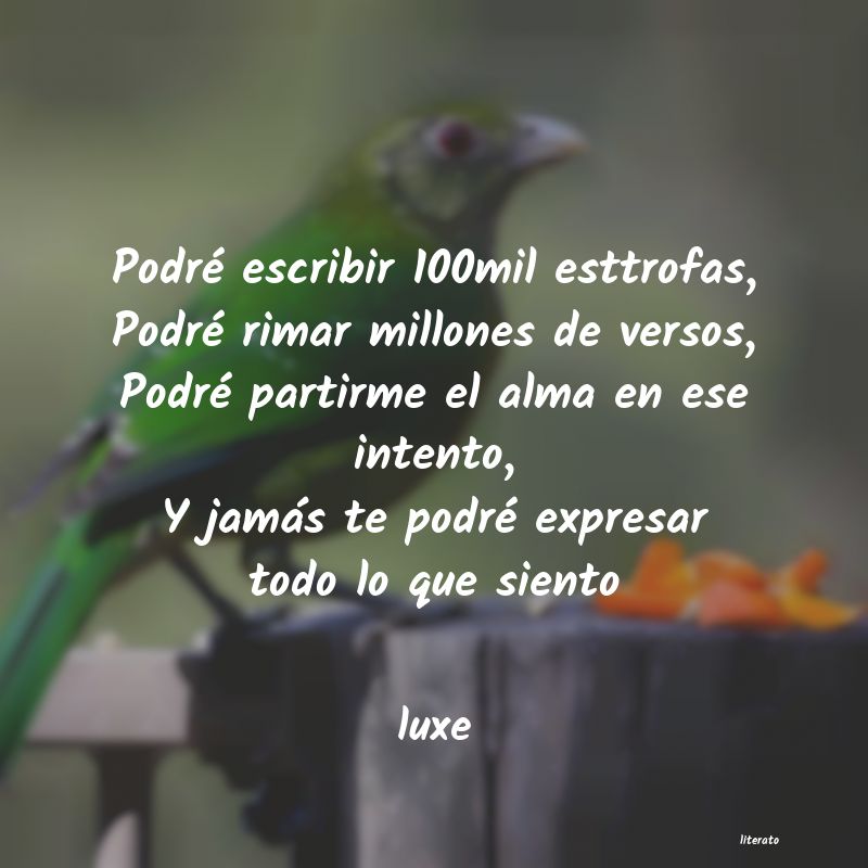 frases de luxe