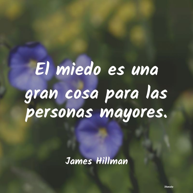 Frases de James Hillman