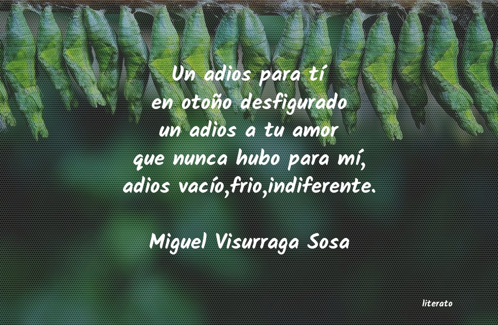 Frases de Miguel Visurraga Sosa