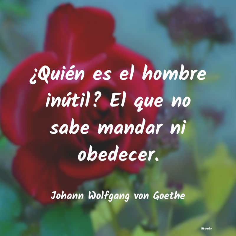frases de Johann Wolfgang von Goethe