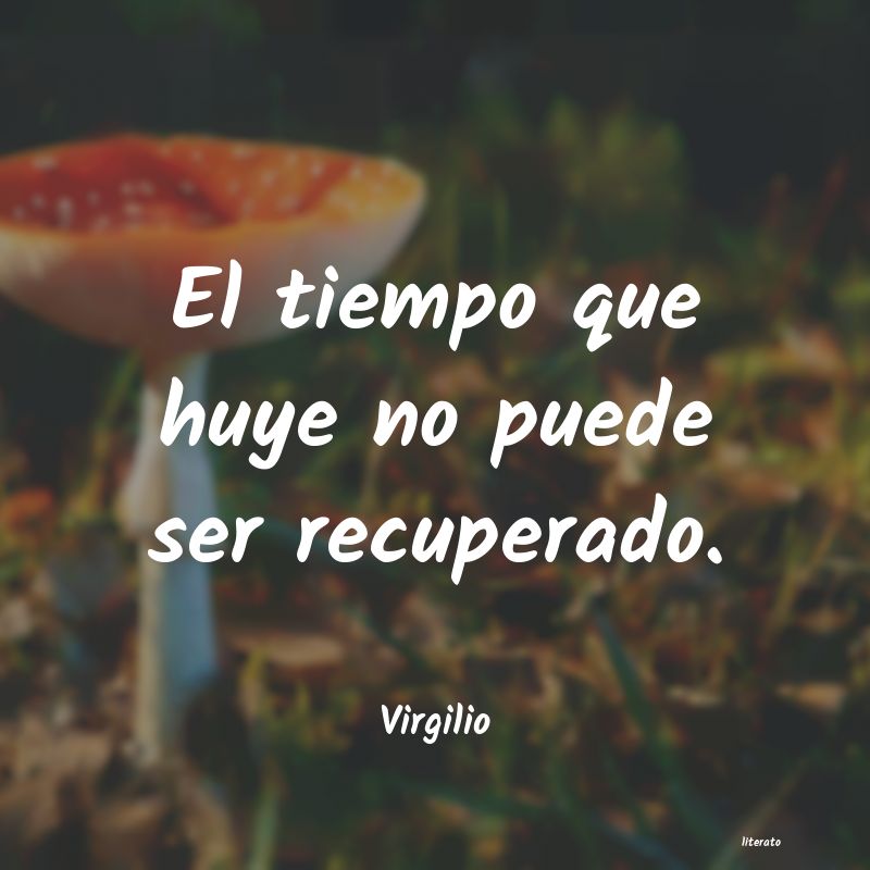 Frases de Virgilio