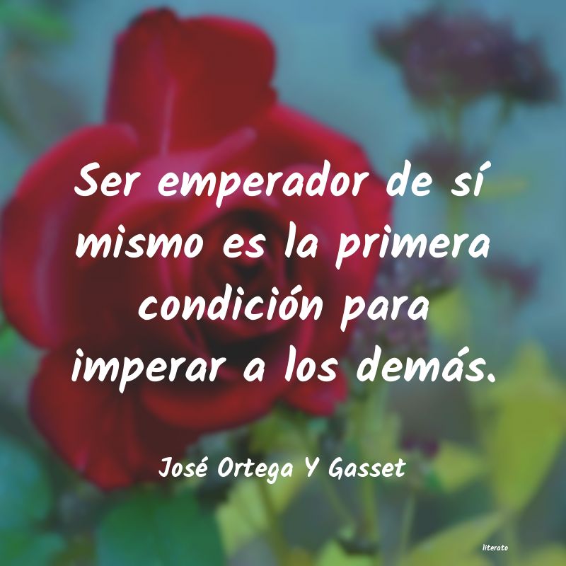 frases de José Ortega Y Gasset