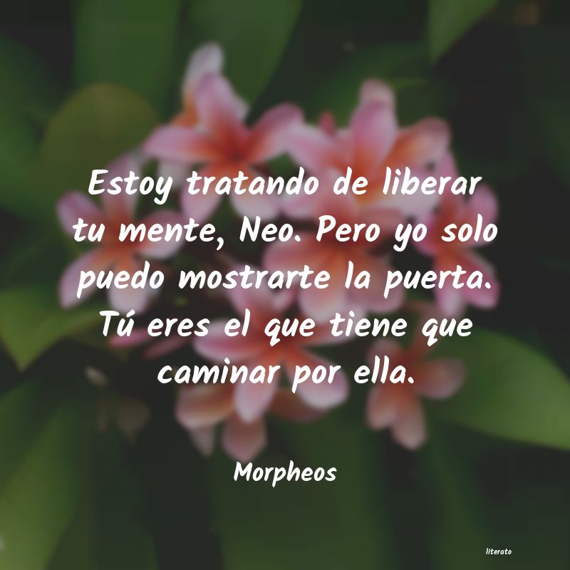 frases de Morpheos