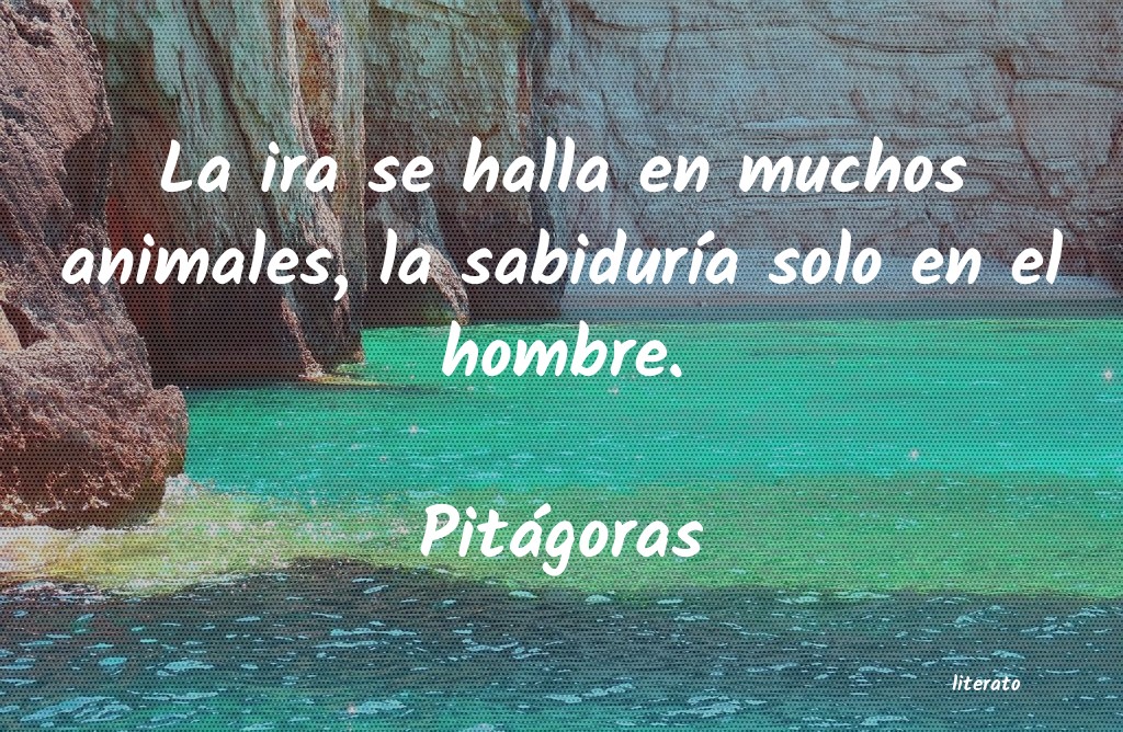 Frases de Pitágoras