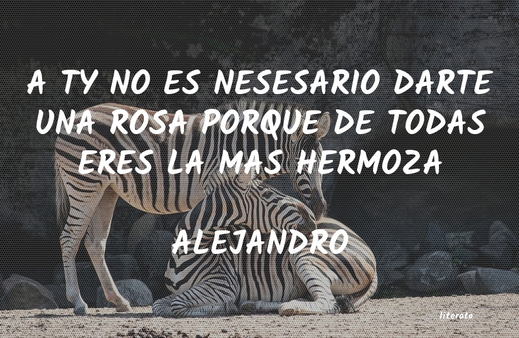 frases de ALEJANDRO