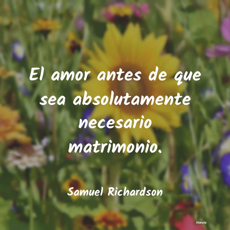 Frases de Samuel Richardson