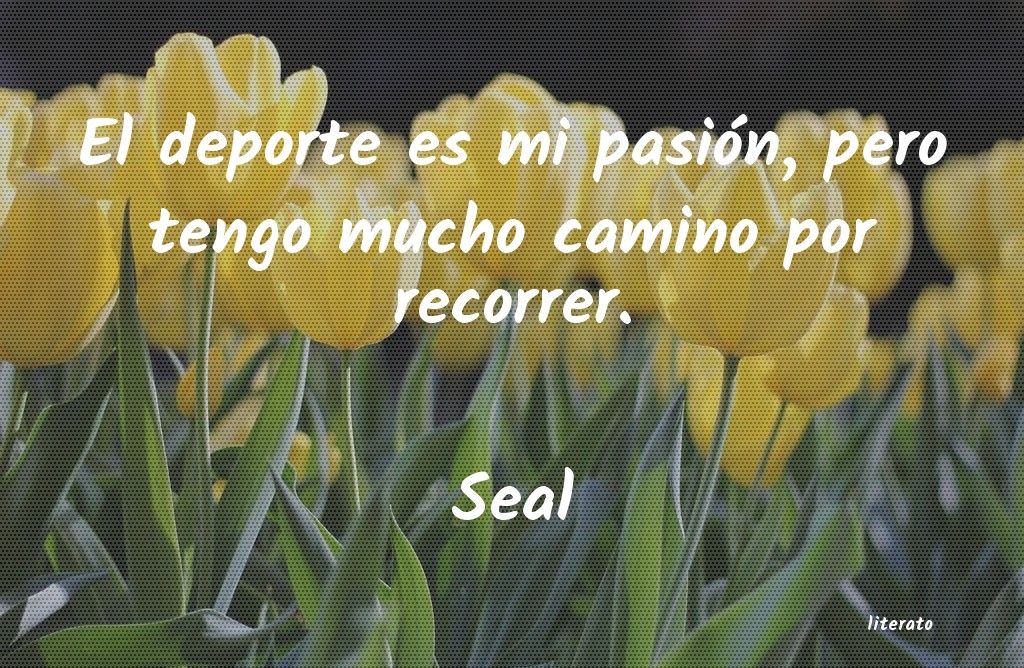 Frases de Seal