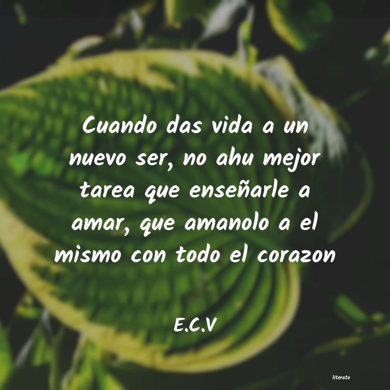 Frases de E.C.V