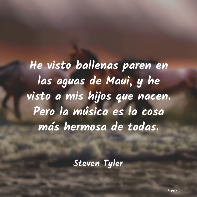 Frases de Steven Tyler