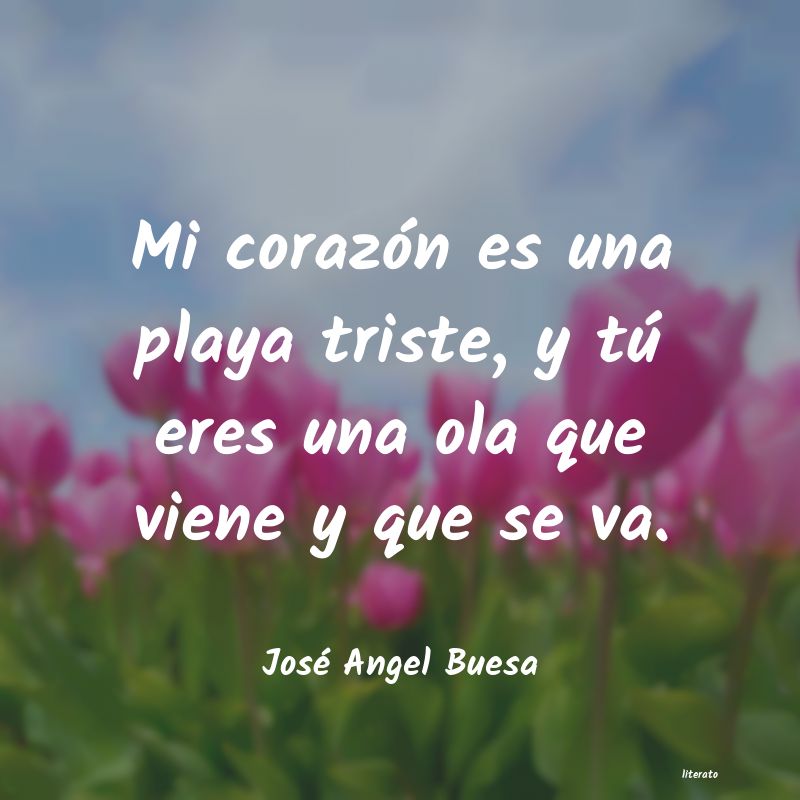 frases de José Angel Buesa