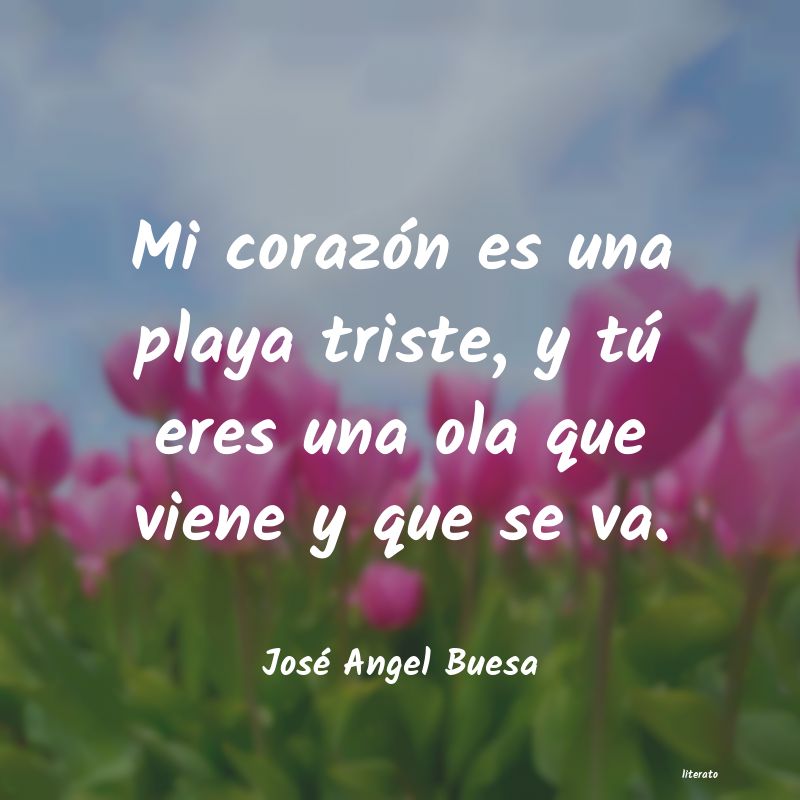 Frases de José Angel Buesa